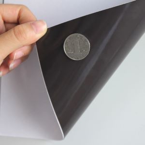 Magnetic Sheet
